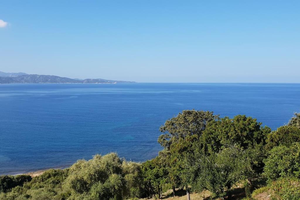 Casa Marine Du Soleil 60 Apartman Patrimonio Kültér fotó